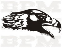 /album/vtaky/vtaky-2-jpg/